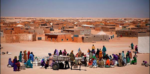 Declaración: La Fundación para la Cooperación Internacional de la OMC pide el cese inmediato de hostilidades en el Sáhara Occidental.